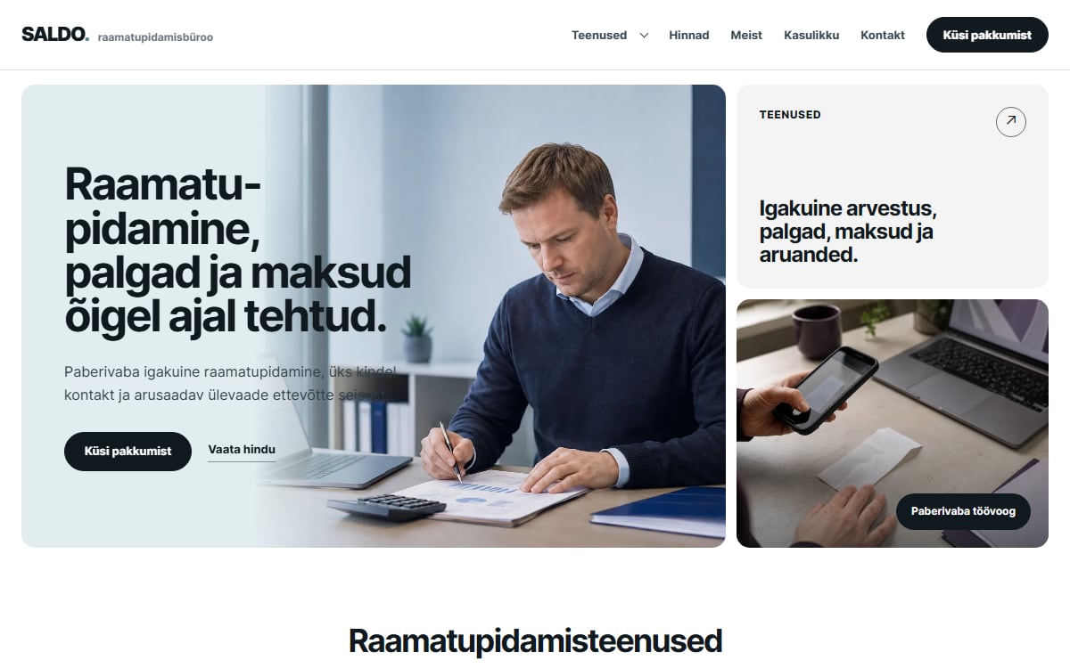 Raamatupidamisteenuse veeb näidisvaade